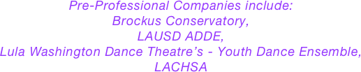 
Pre-Professional Companies include: 
Brockus Conservatory, 
LAUSD ADDE,
Lula Washington Dance Theatre’s - Youth Dance Ensemble, 
LACHSA